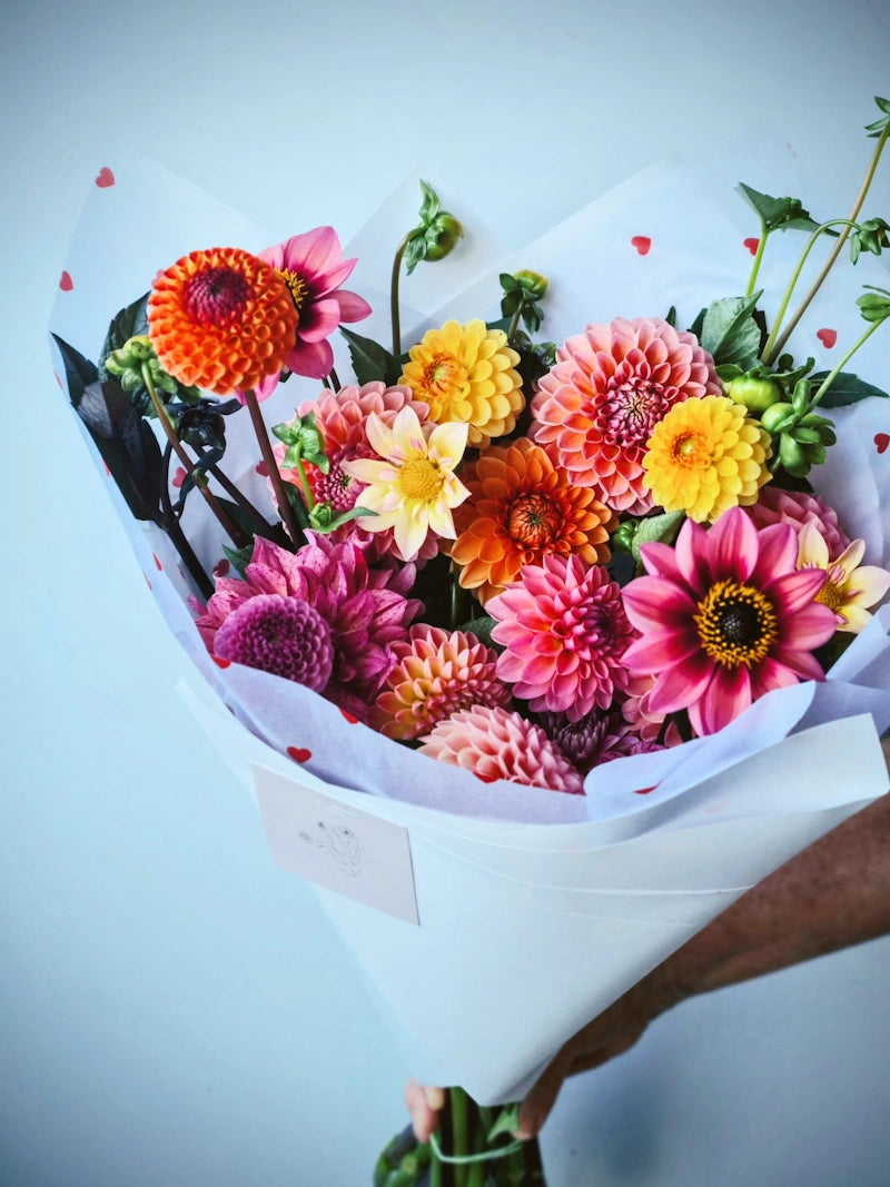 Summer Dahlia Subscription